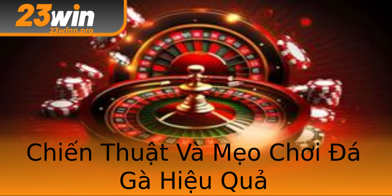 Chiến Thuật Và Mẹo Chơi Đá Gà Hiệu Quả Chiến Thuật Và Mẹo Chơi Đá Gà Hiệu Quả