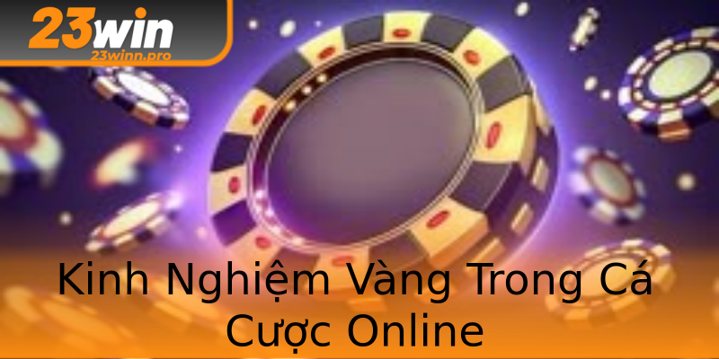 Kinh Nghiệm Vàng Trong Cá Cược Online Kinh Nghiệm Vàng Trong Cá Cược Online
