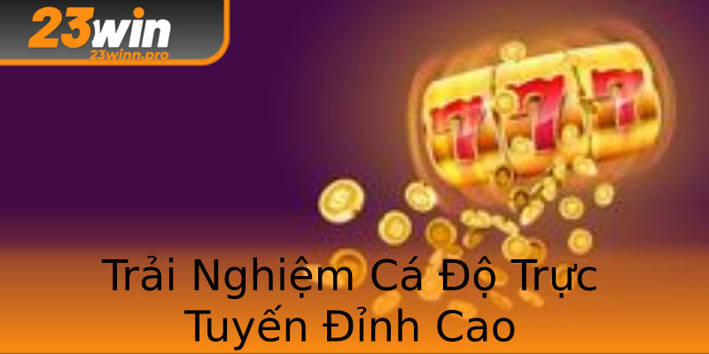 Trải Nghiệm Cá Độ Trực Tuyến Đỉnh Cao Trải Nghiệm Cá Độ Trực Tuyến Đỉnh Cao